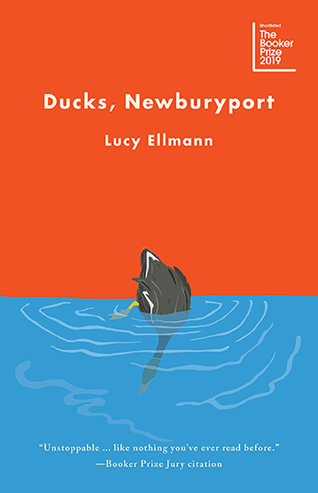 Ducks, Newburyport - Agricola Street Books