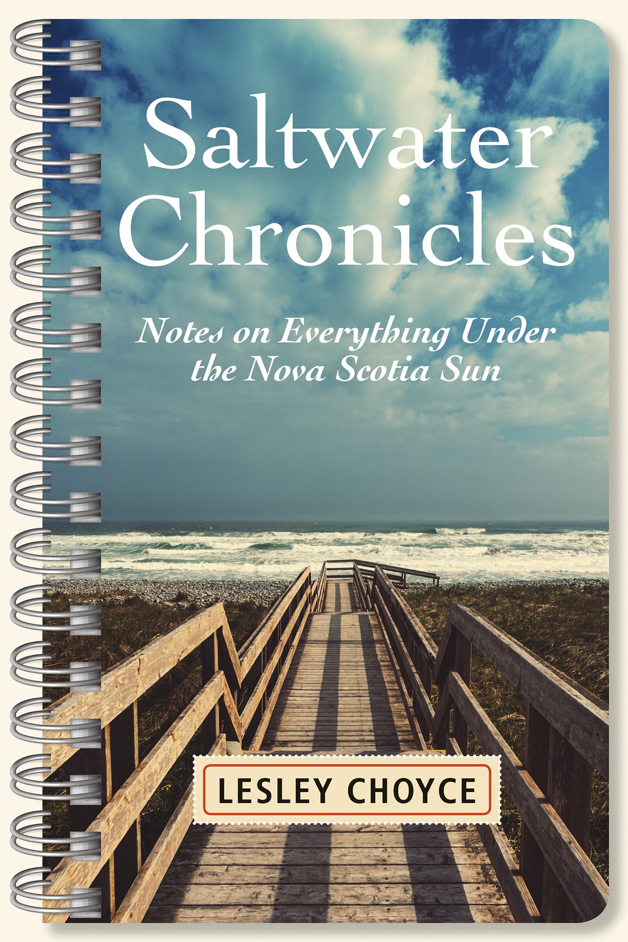 Saltwater Chronicles - Agricola Street Books