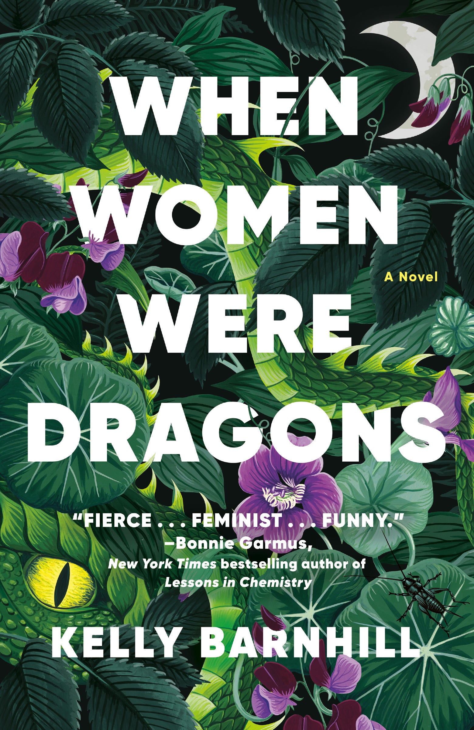 When Women Were Dragons - Agricola Street Books