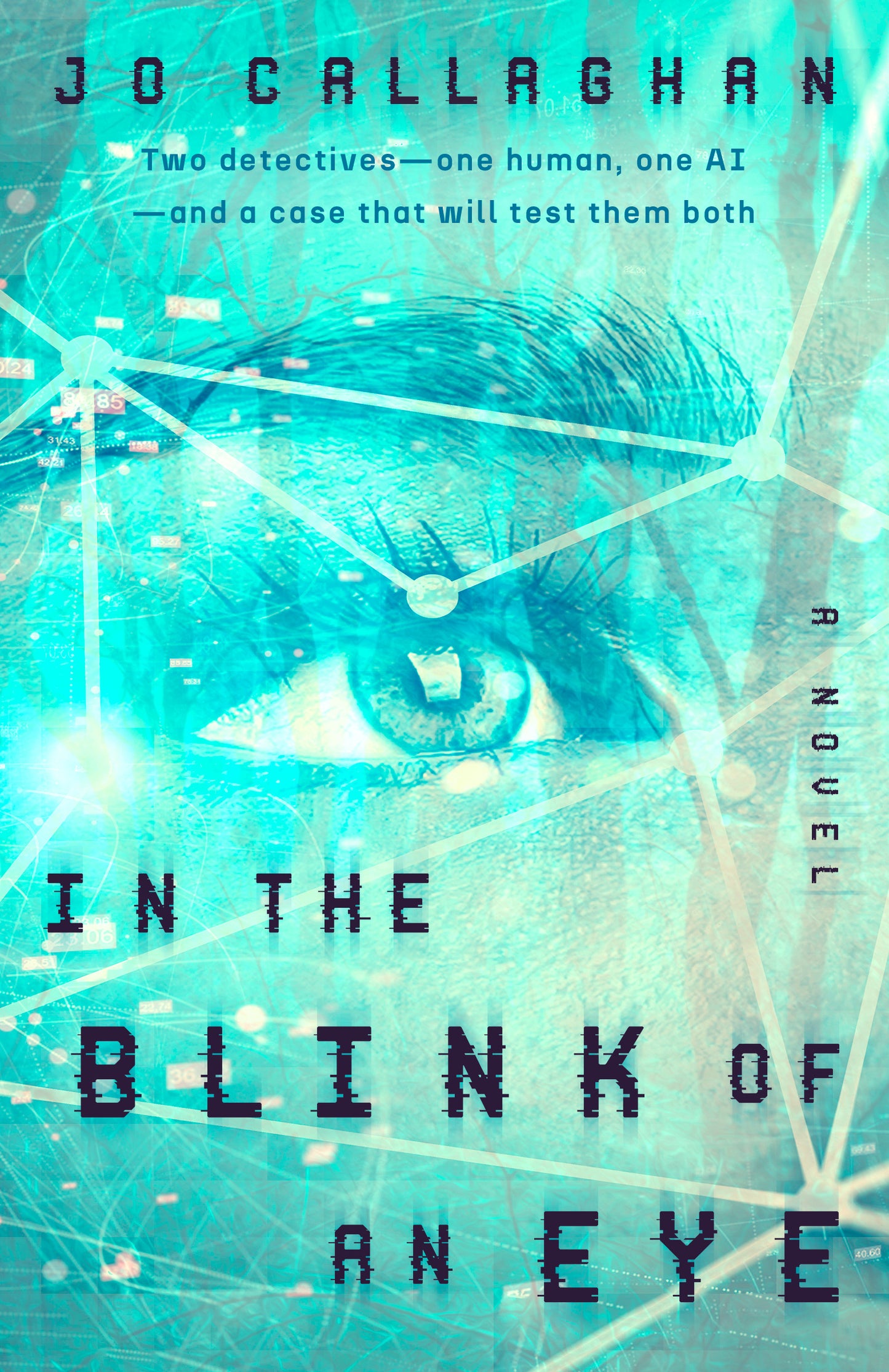 In the Blink of an Eye(February Book Club Pick)