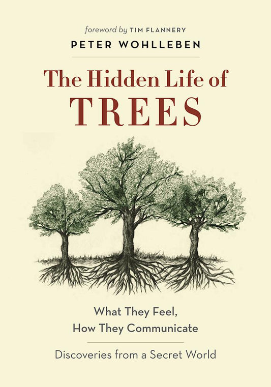 The Hidden Life of Trees - Agricola Street Books