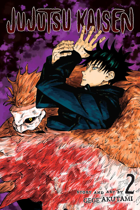 Jujutsu Kaisen, Vol. 2 - Agricola Street Books
