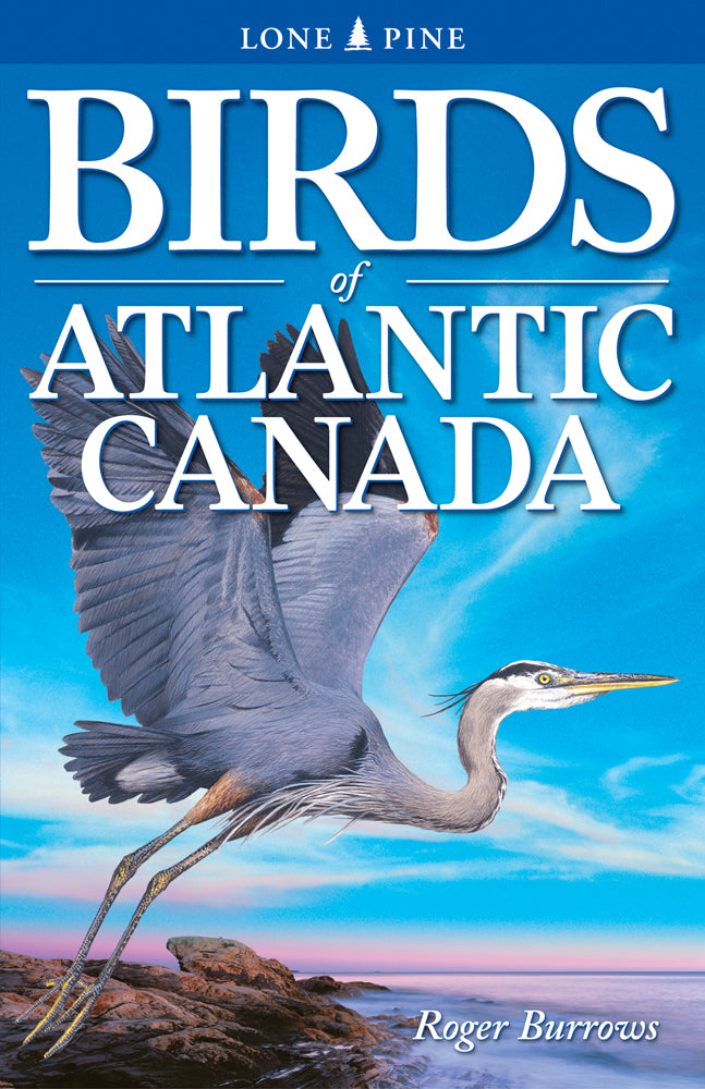 Birds of Atlantic Canada - Agricola Street Books