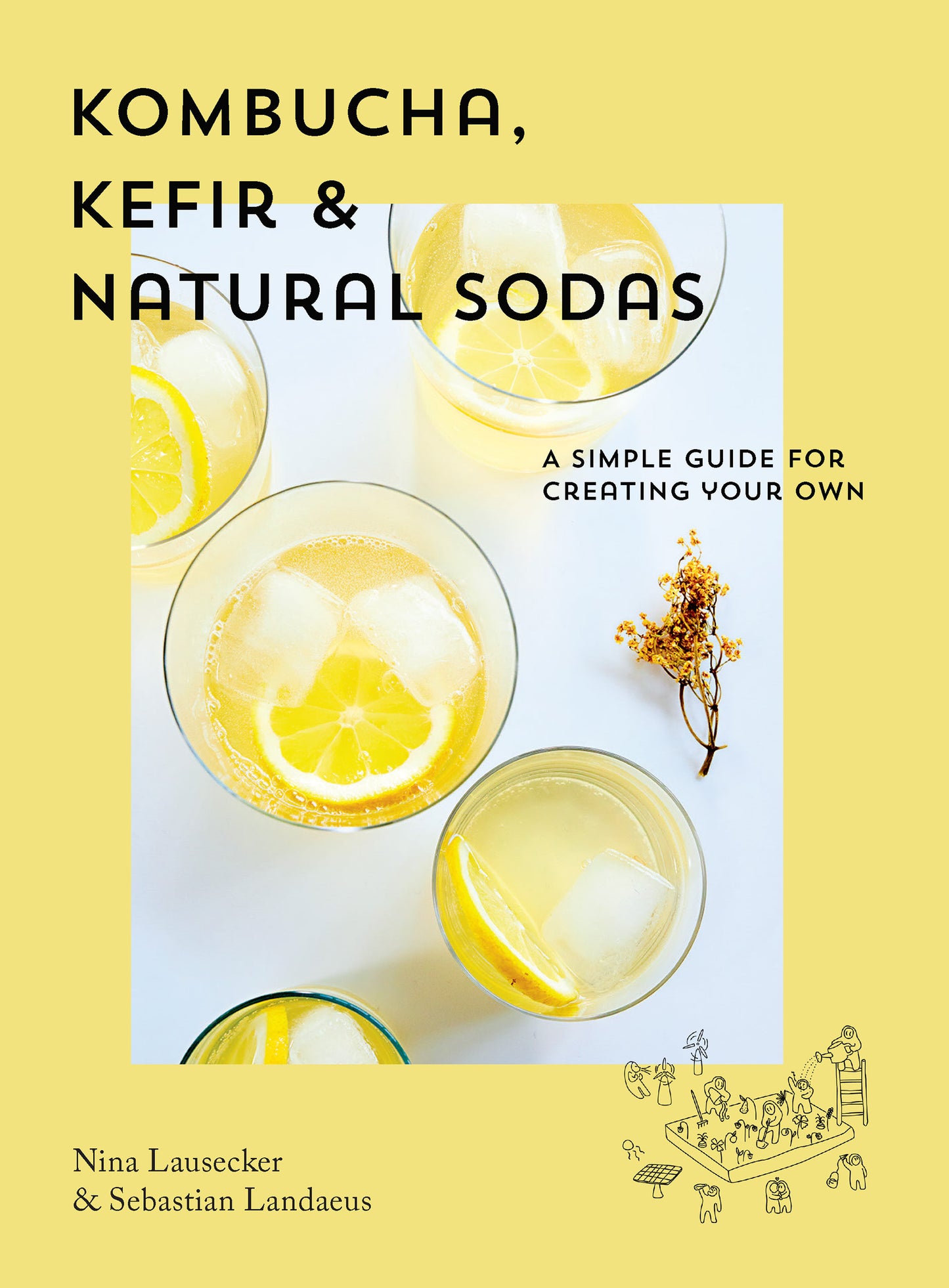 Kombucha, Kefir &amp; Natural Sodas