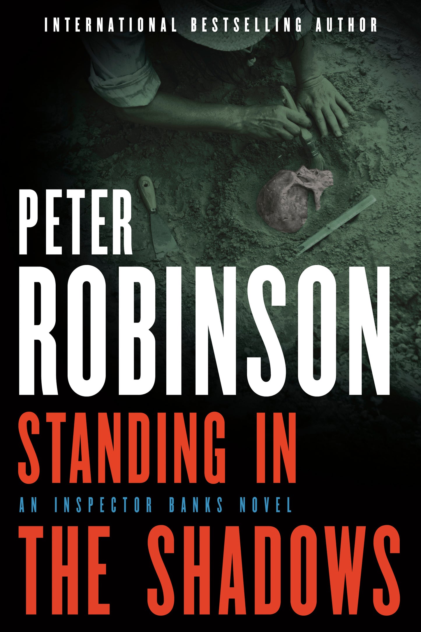 Standing in the Shadows (Inspector Banks #28)