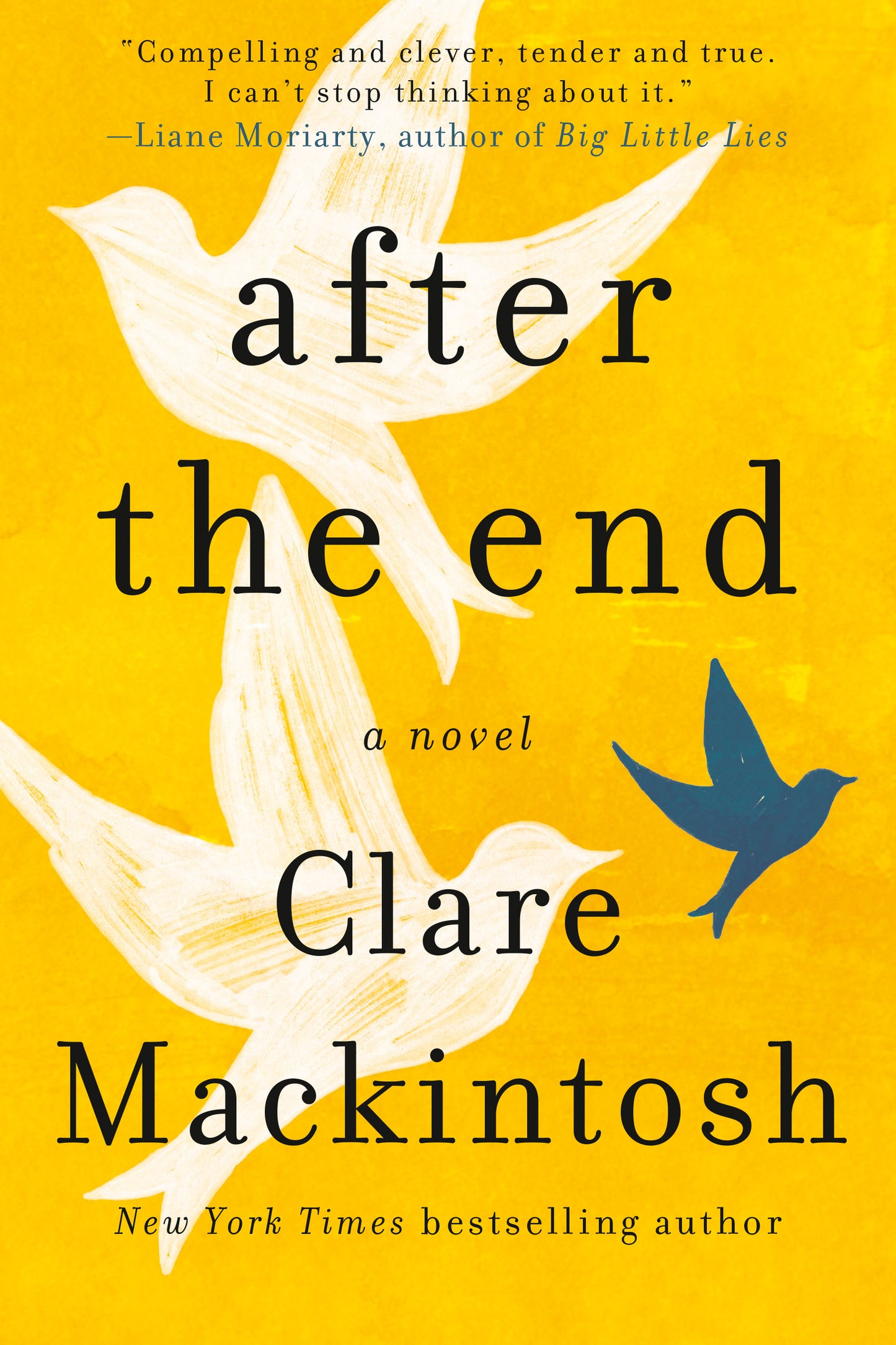 After the End - Agricola Street Books