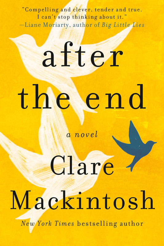 After the End - Agricola Street Books