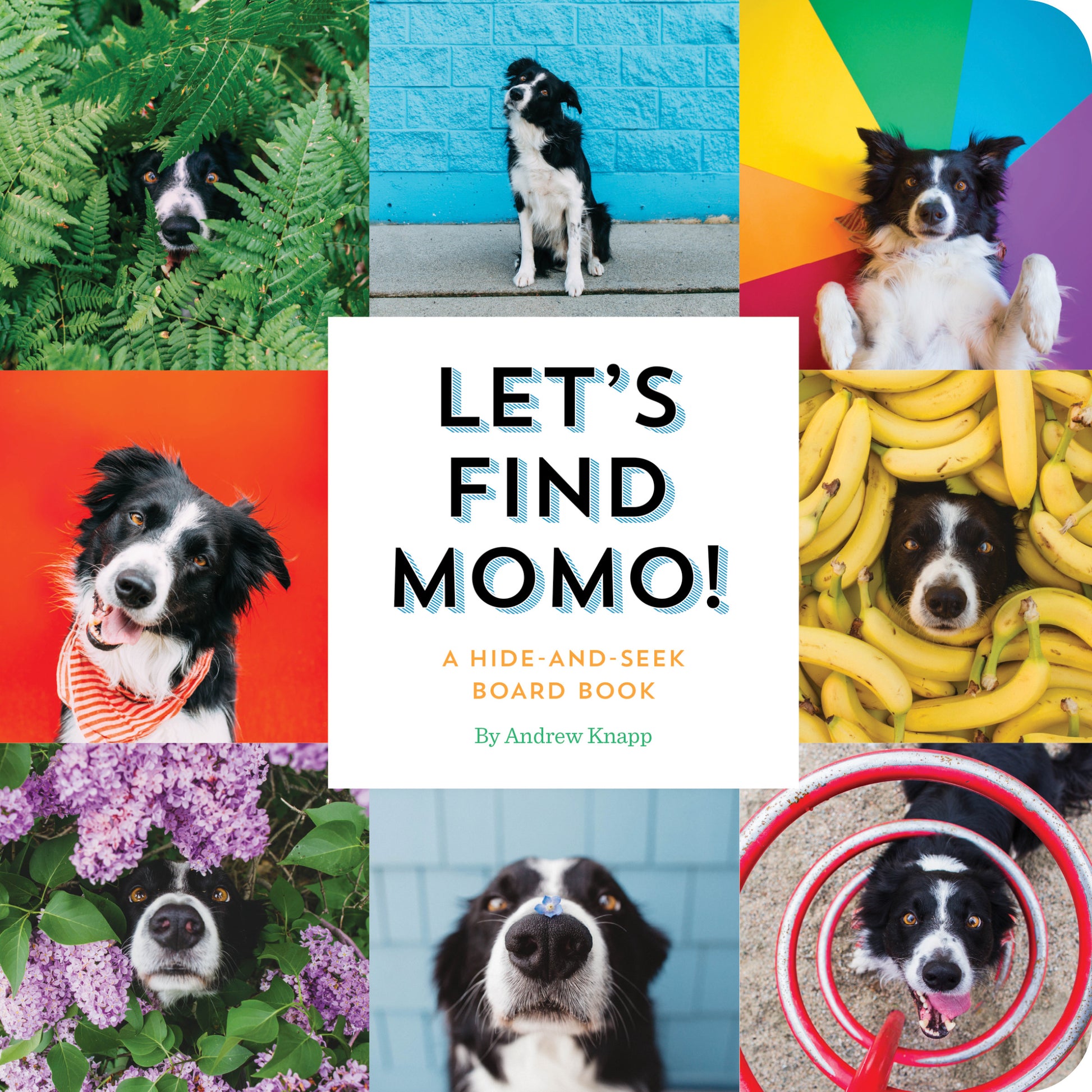 Let's Find Momo! - Agricola Street Books
