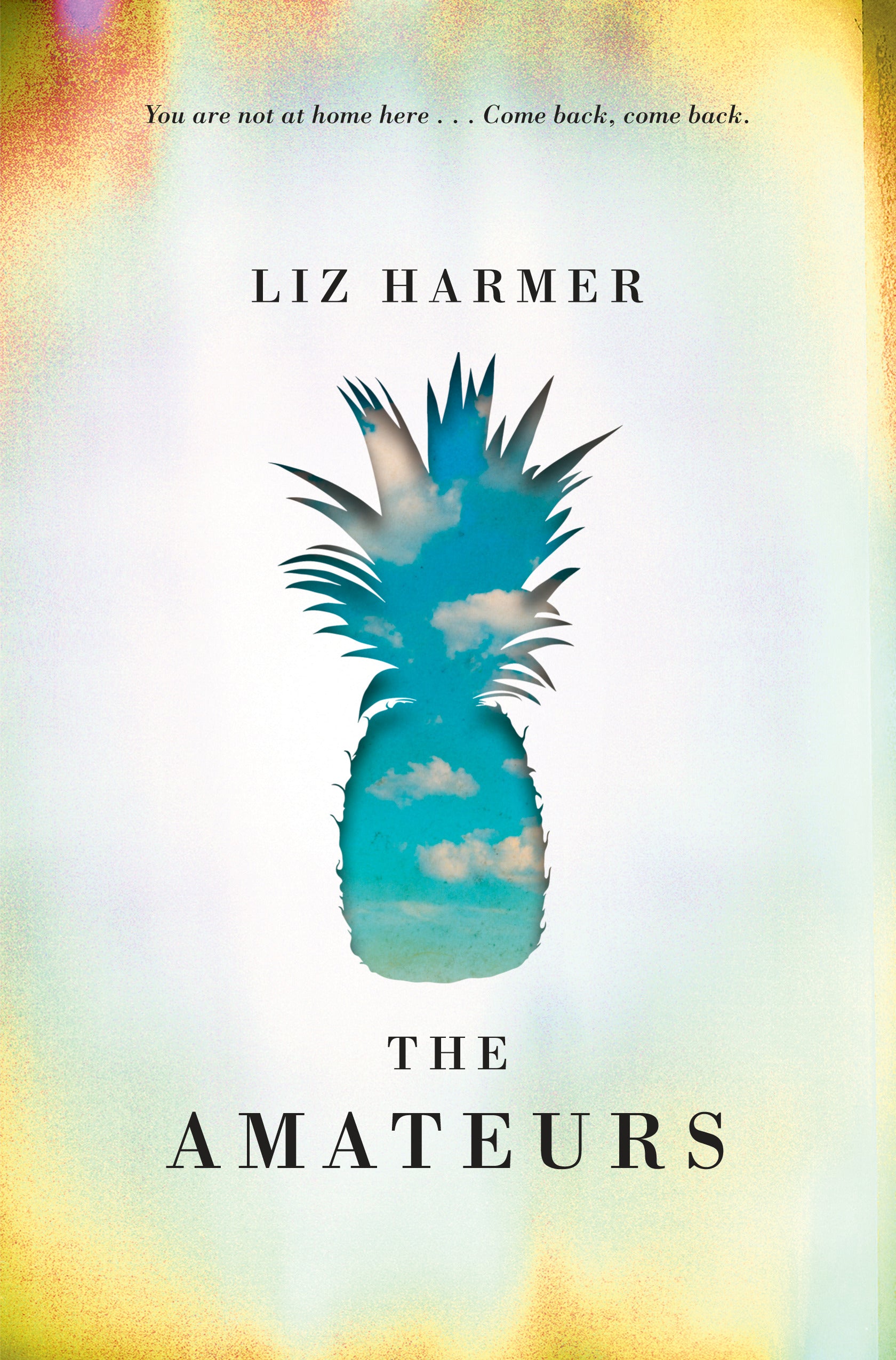 The AmateursDNS - Agricola Street Books