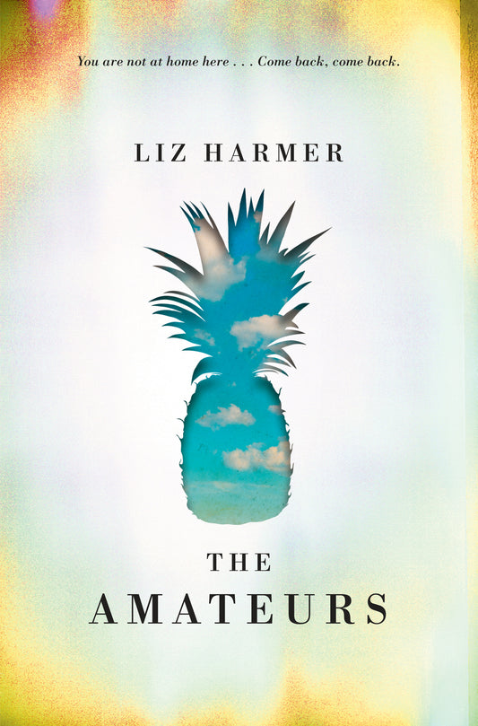 The AmateursDNS - Agricola Street Books