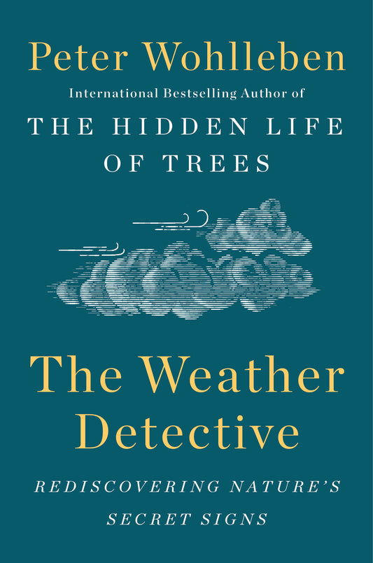 The Weather Detective - Agricola Street Books