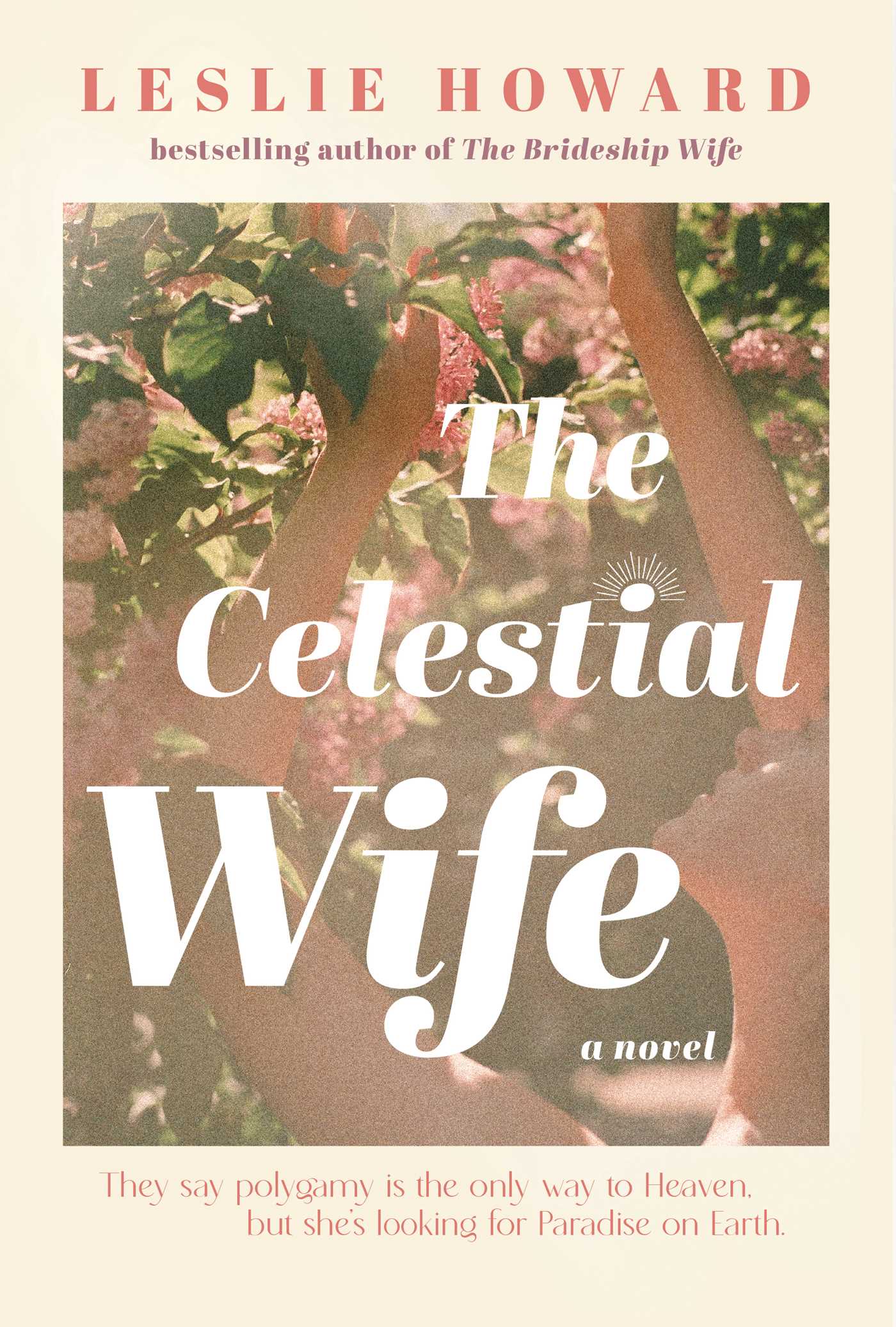The Celestial Wife - Agricola Street Books