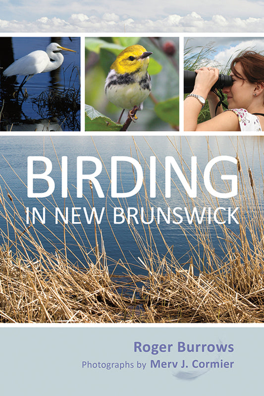 Birding in New Brunswick - Agricola Street Books