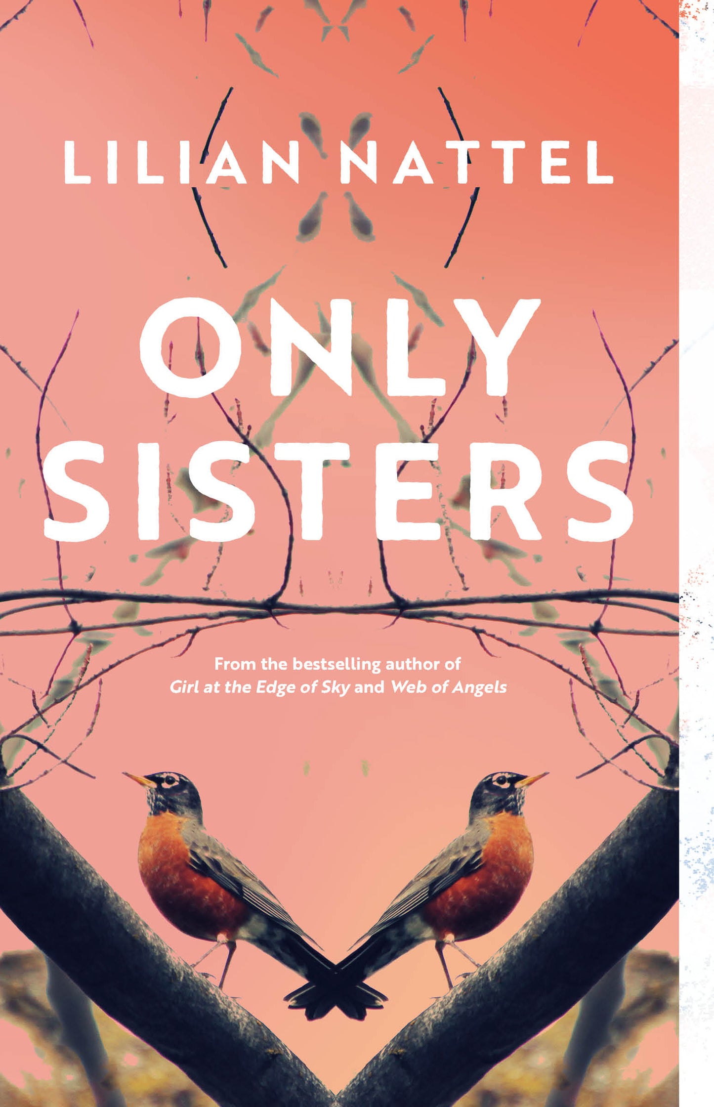 Only Sisters - Agricola Street Books