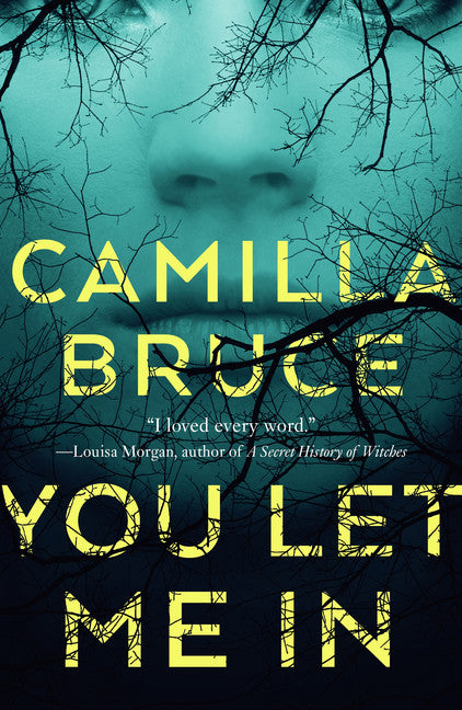 You Let Me In - Agricola Street Books