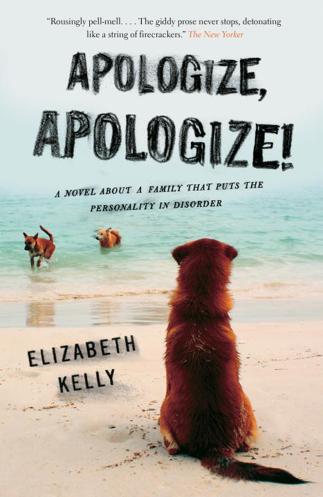 Apologize, Apologize! - Agricola Street Books