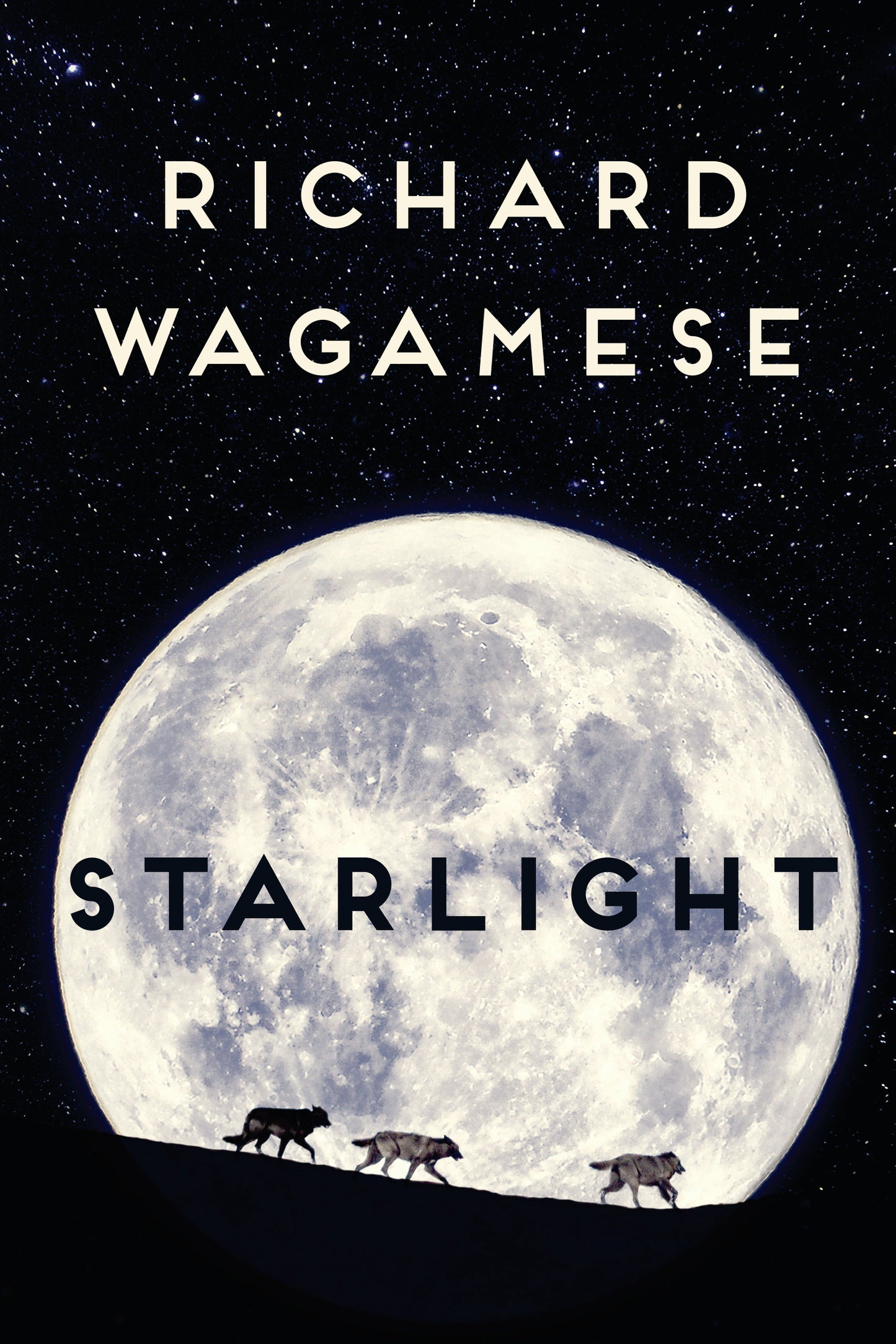 Starlight(author request) - Agricola Street Books