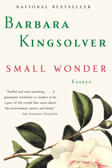 Small Wonder - Agricola Street Books