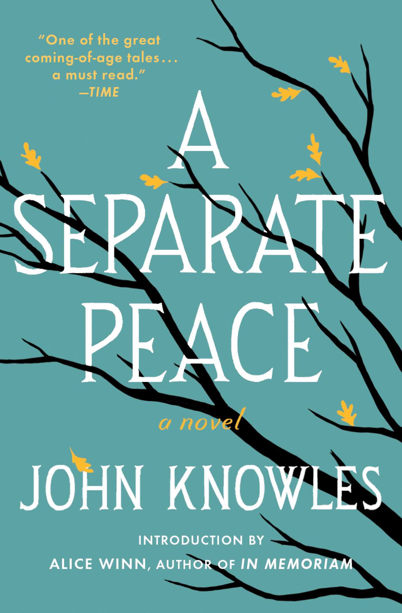 A Separate Peace - Agricola Street Books