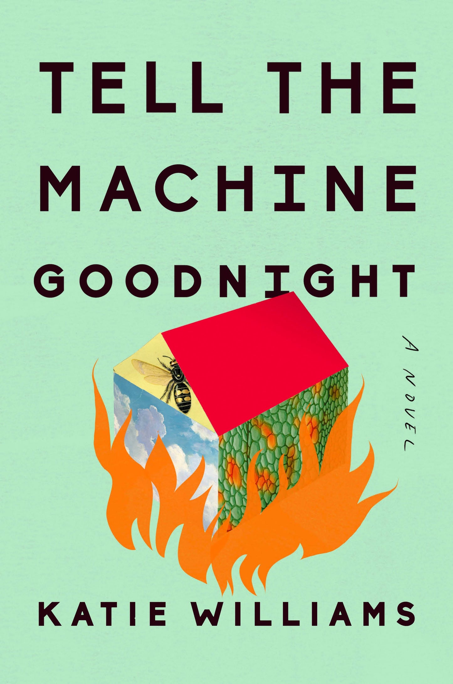 Tell the Machine Goodnight - Agricola Street Books