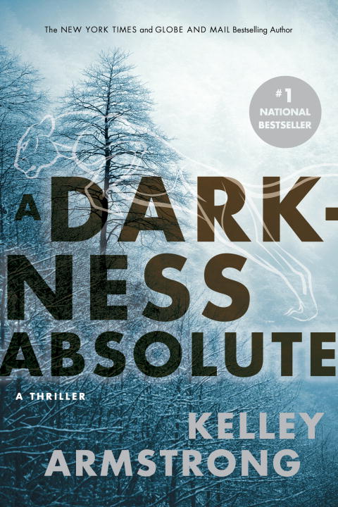 A Darkness Absolute - Agricola Street Books