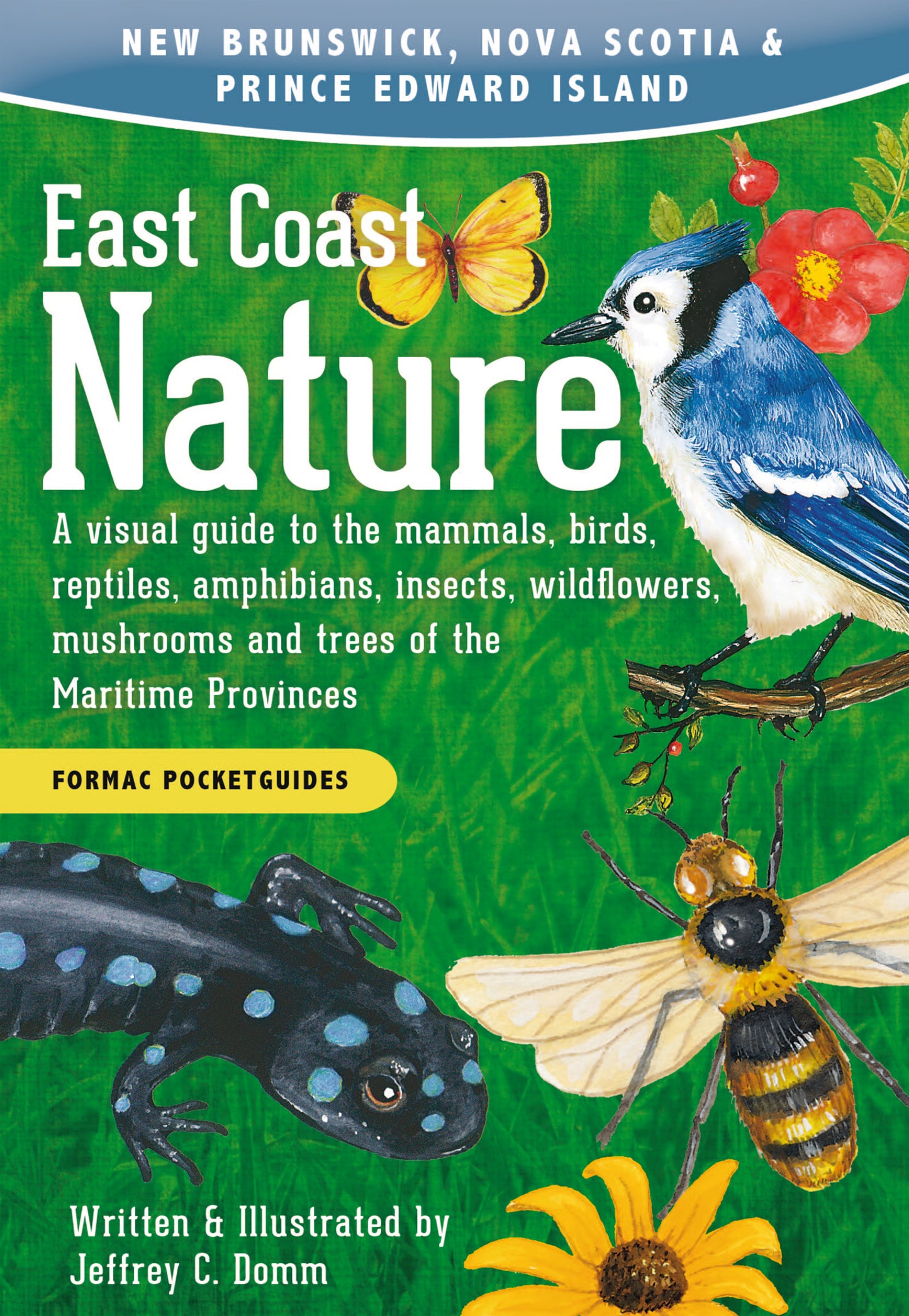 East Coast Nature - Agricola Street Books