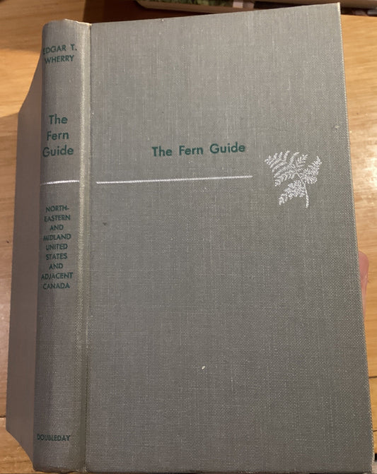 The Fern Guide