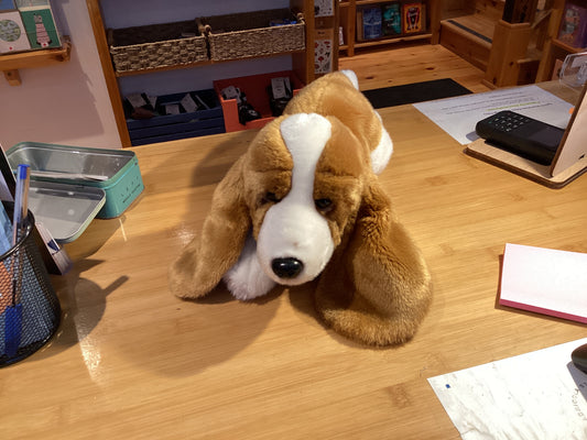Large Stuffed Animals