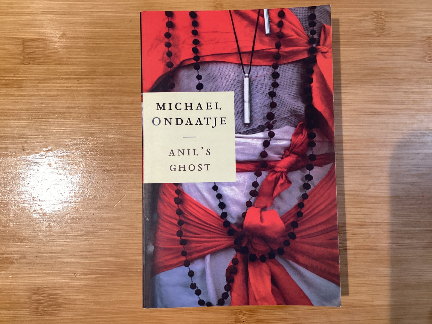 Anil's Ghost - Agricola Street Books