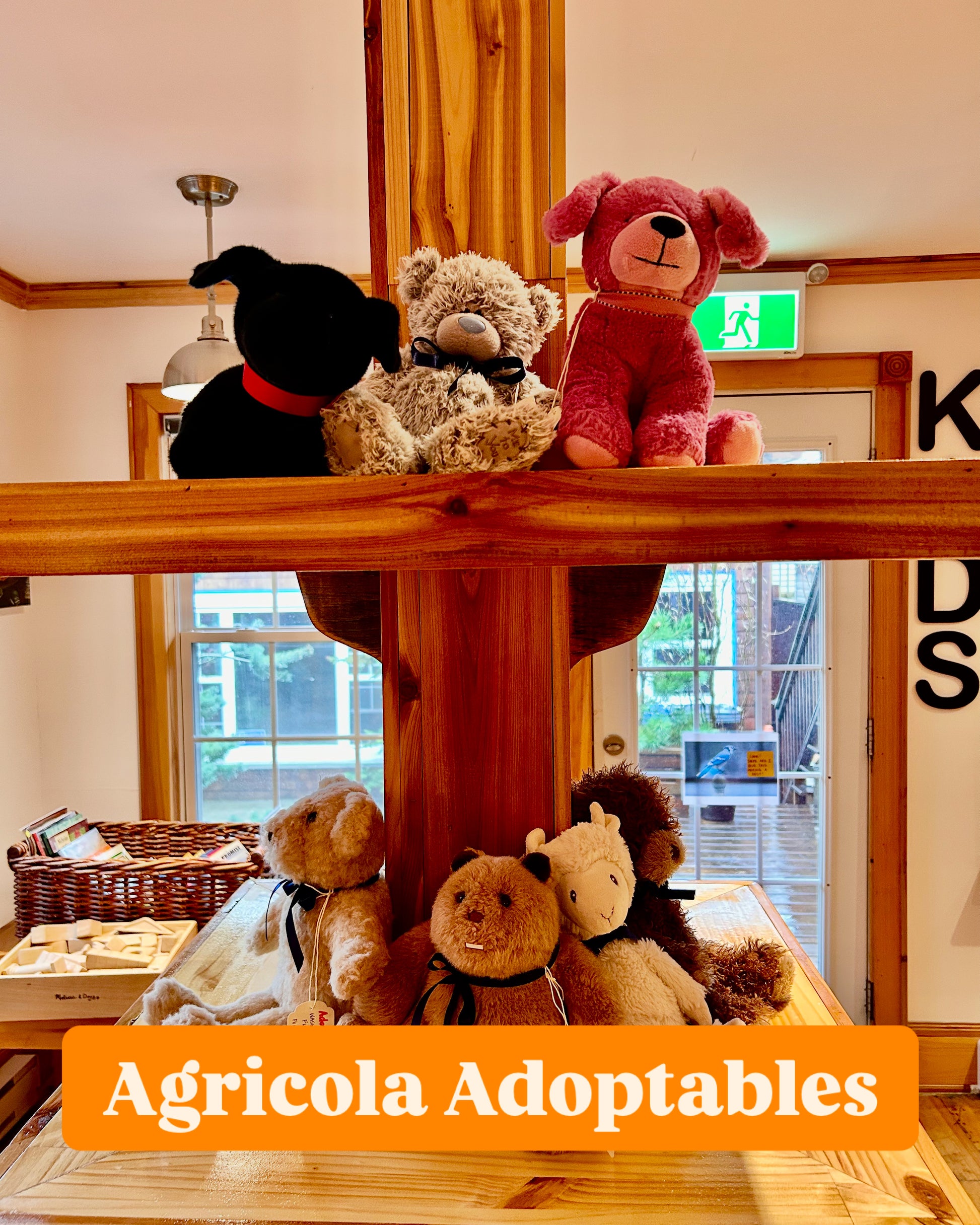 Agricola Adoptables - Agricola Street Books