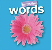 Baby's First Words - Agricola Street Books