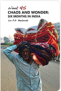 Chaos and Wonder: Six Months in India (Week 45)