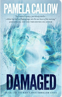 Damaged (Book 1 of the Kate Lange Thriller Series) - Agricola Street Books