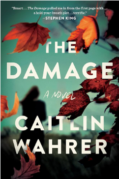 The Damage - Agricola Street Books