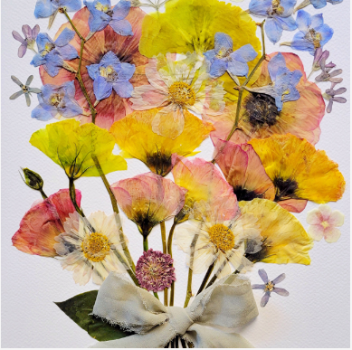 Sasha Sheppard Flower Cards - Agricola Street Books