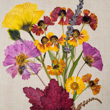 Sasha Sheppard Flower Cards - Agricola Street Books