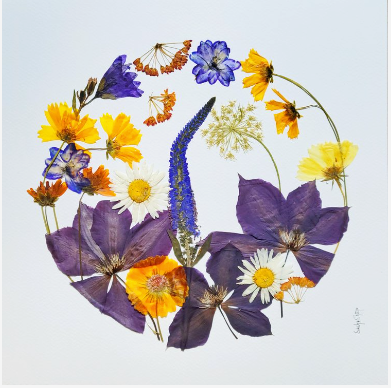 Sasha Sheppard Flower Cards - Agricola Street Books