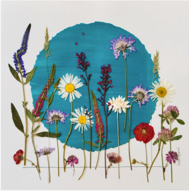 Sasha Sheppard Flower Cards - Agricola Street Books