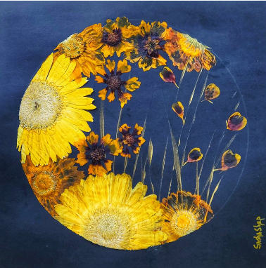 Sasha Sheppard Flower Cards - Agricola Street Books