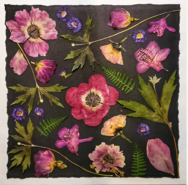 Sasha Sheppard Flower Cards - Agricola Street Books