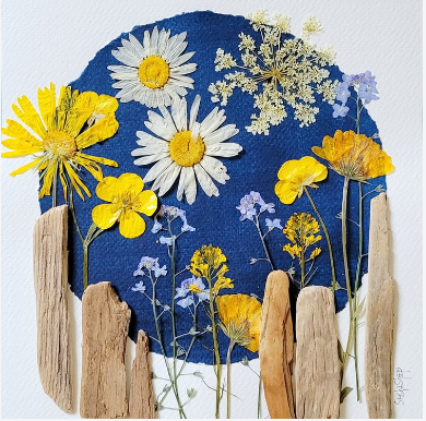 Sasha Sheppard Flower Cards - Agricola Street Books