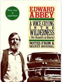 A Voice Crying in the Wilderness - Agricola Street Books