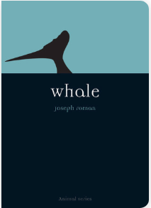 Whale - Agricola Street Books