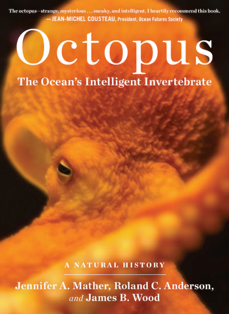 Octopus: The Ocean's Intelligent Invertebrate - Agricola Street Books