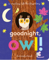 Goodnight, Owl - Agricola Street Books