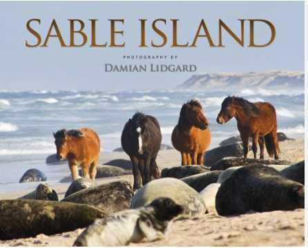 Sable Island - Agricola Street Books