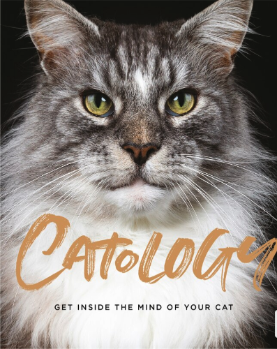 Catology