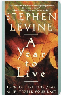 A Year to Live