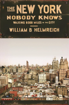 The New York Nobody Knows: Walking 6,000 Miles in the City