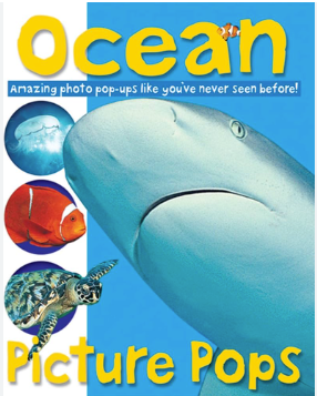 Ocean Picture Pops